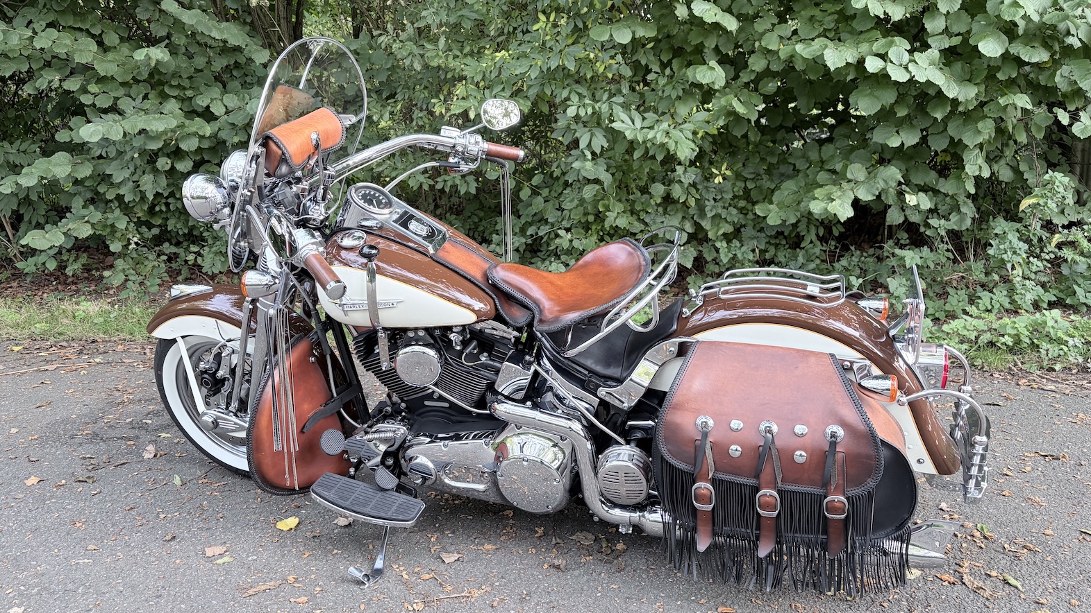 Harley-Davidson FLSTS (2000)