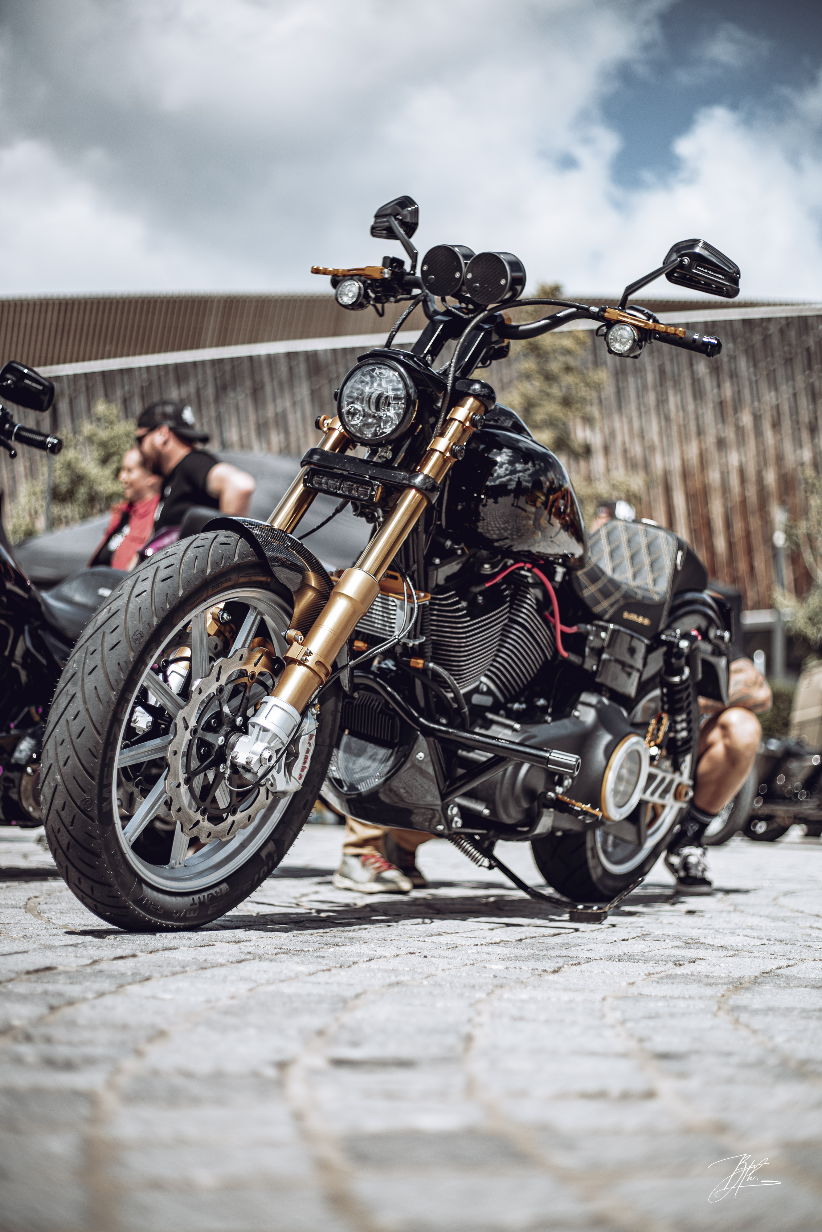 Harley-Davidson FXDLS (Dyna Low Rider S) (2017)