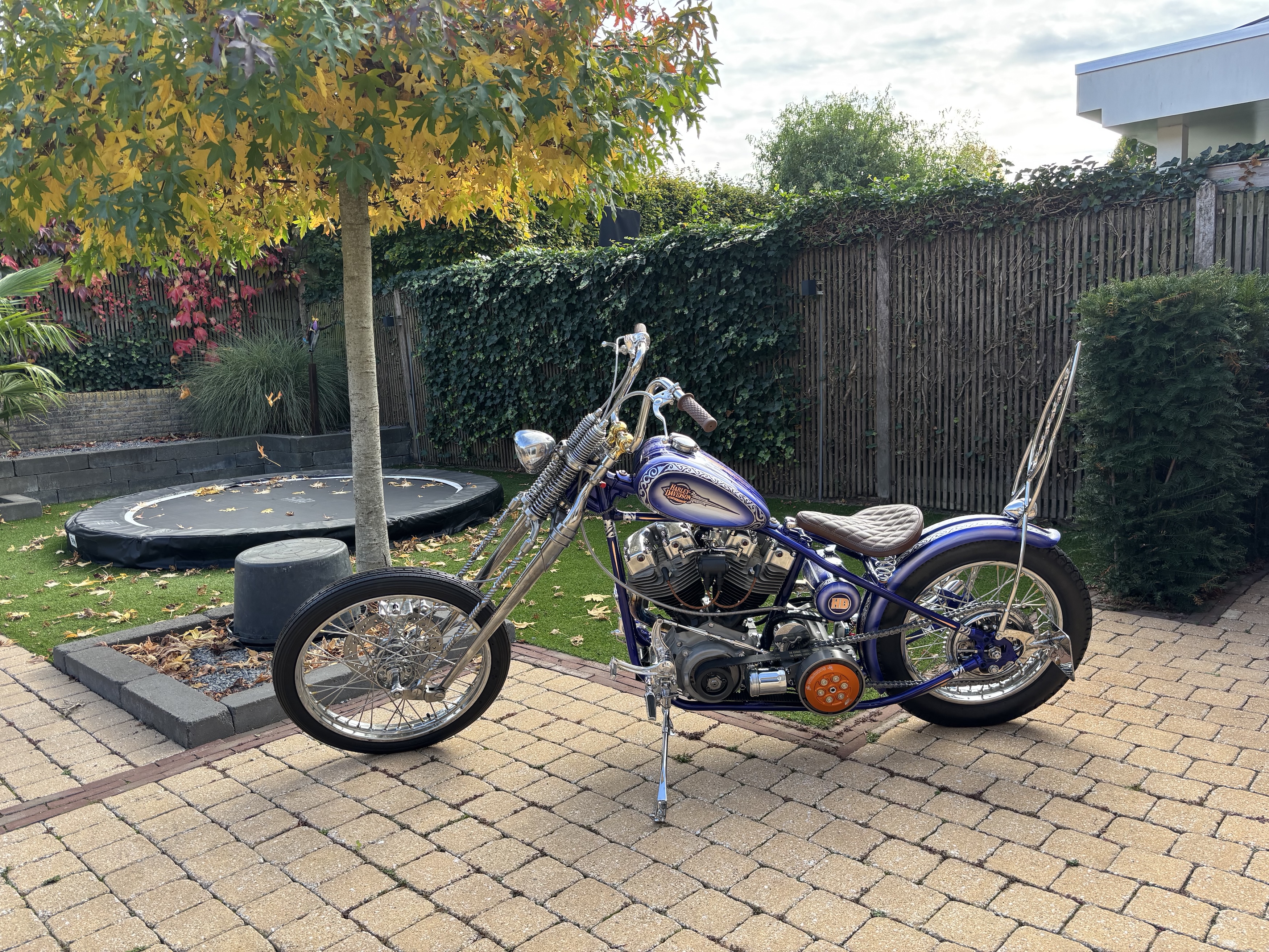 H-D Eigenbouw Shovelhead chopper (1976)