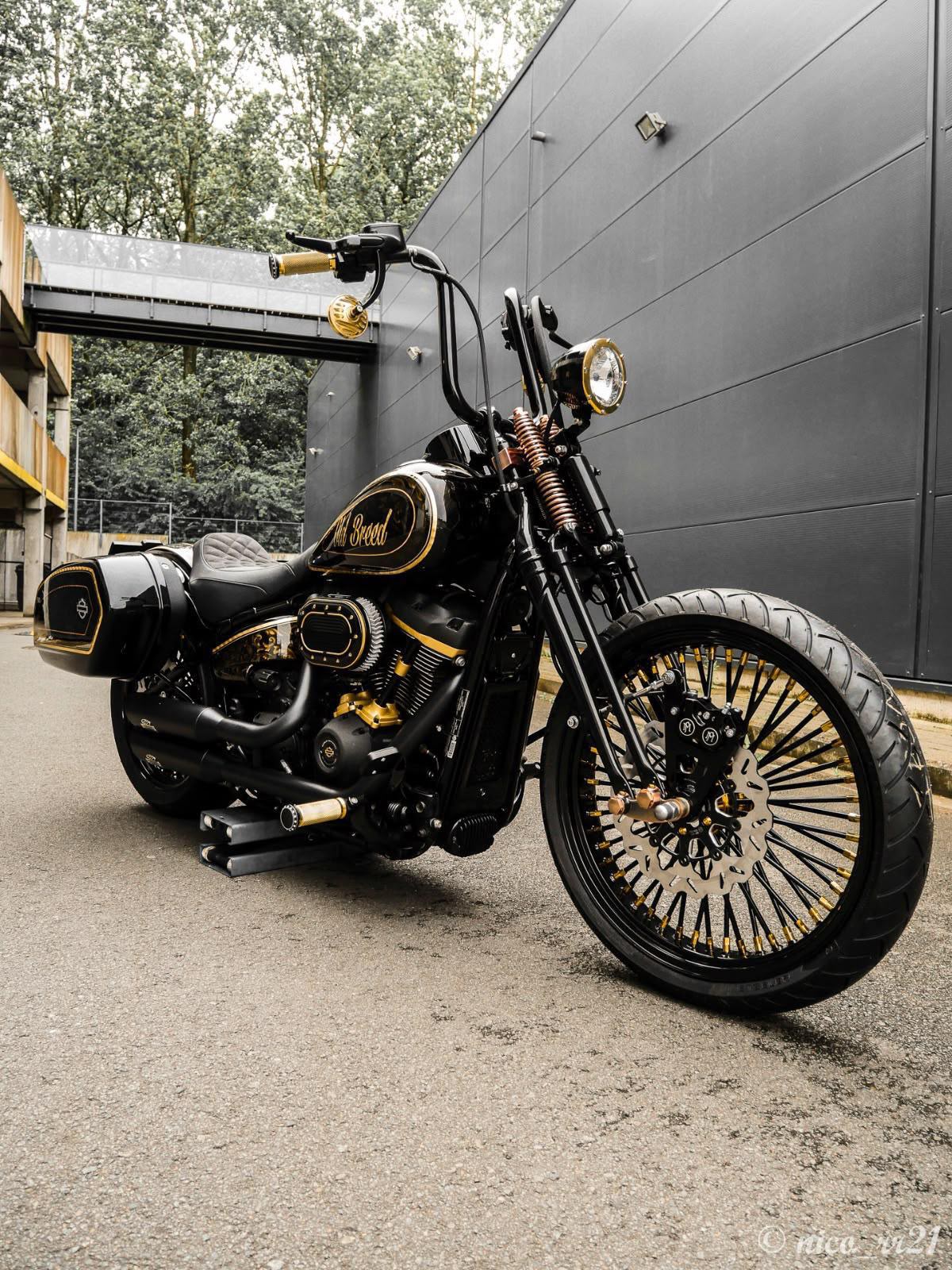 Harley-Davidson Sport Glide (2021)