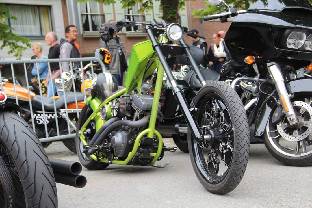 Custom Build with H-D engine Chopper (2001)